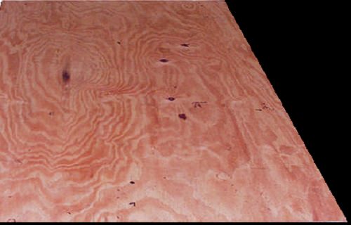 cdx fire treated plywood
