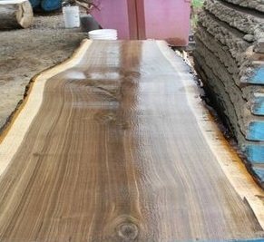 walnut slab with live edge